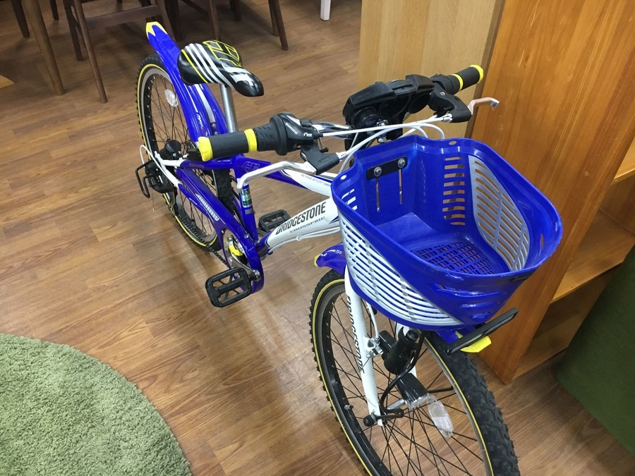 11 ヶ月 自転車
