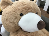 トレファク浦和店ブログ