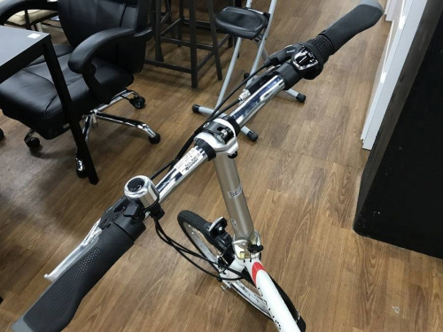 D409600751の折りたたみ自転車