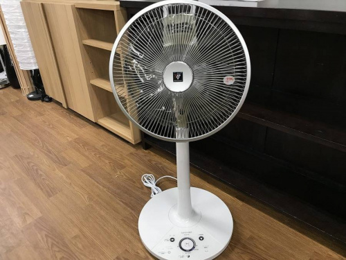 ランキングのおすすめ