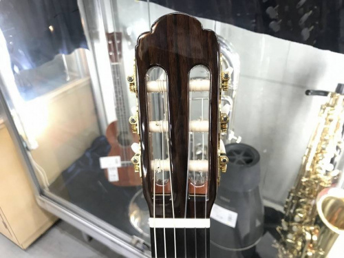 エレアコギターのARIA