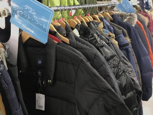 ダウンジャケットのTHE NORTH FACE