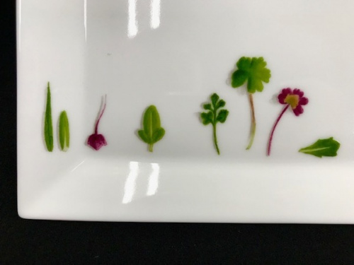 雑貨の洋食器