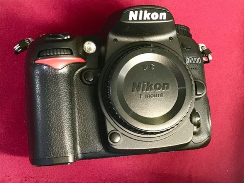 ミラーレスカメラの一眼レフカメラ