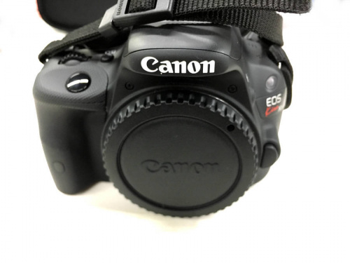 一眼レフカメラの一眼レフカメラ