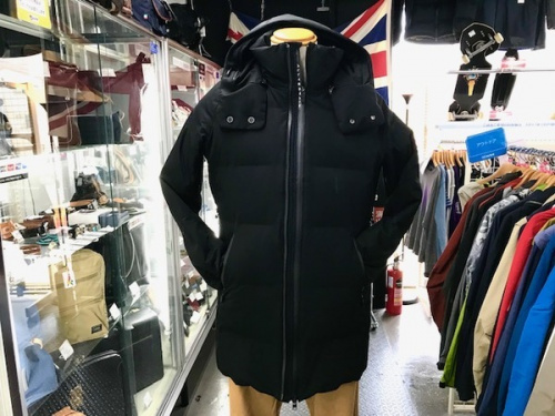 ジャケットのダウンジャケット