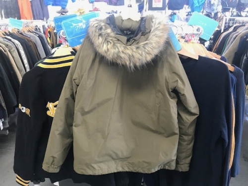 ダウンジャケットのTHE NORTH FACE
