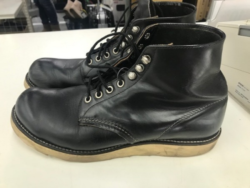 レッドウイングのアイリッシュセッター