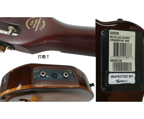 Godin ゴダンのエレガッドギター MULTIAC JAZZ SA LightBurst