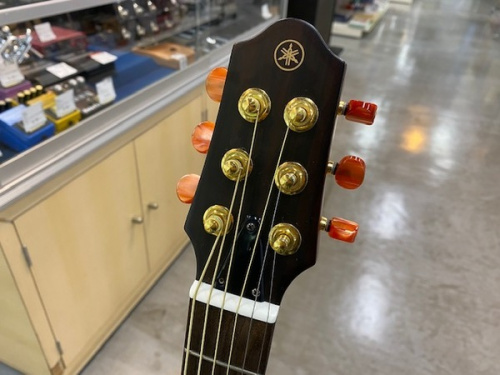 トレファク中古楽器強化店舗の中古楽器屋