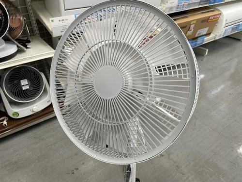 季節家電の扇風機
