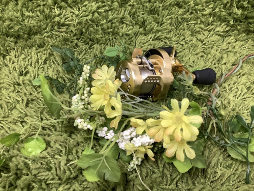 アウトドアの釣リ