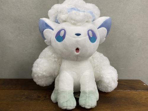 ぬいぐるみのポケモン