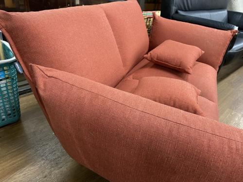 ソファーのFrance Bed