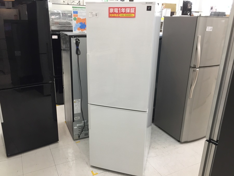冷蔵庫売り場拡張しました！単身用～ファミリーまで幅広く展示中