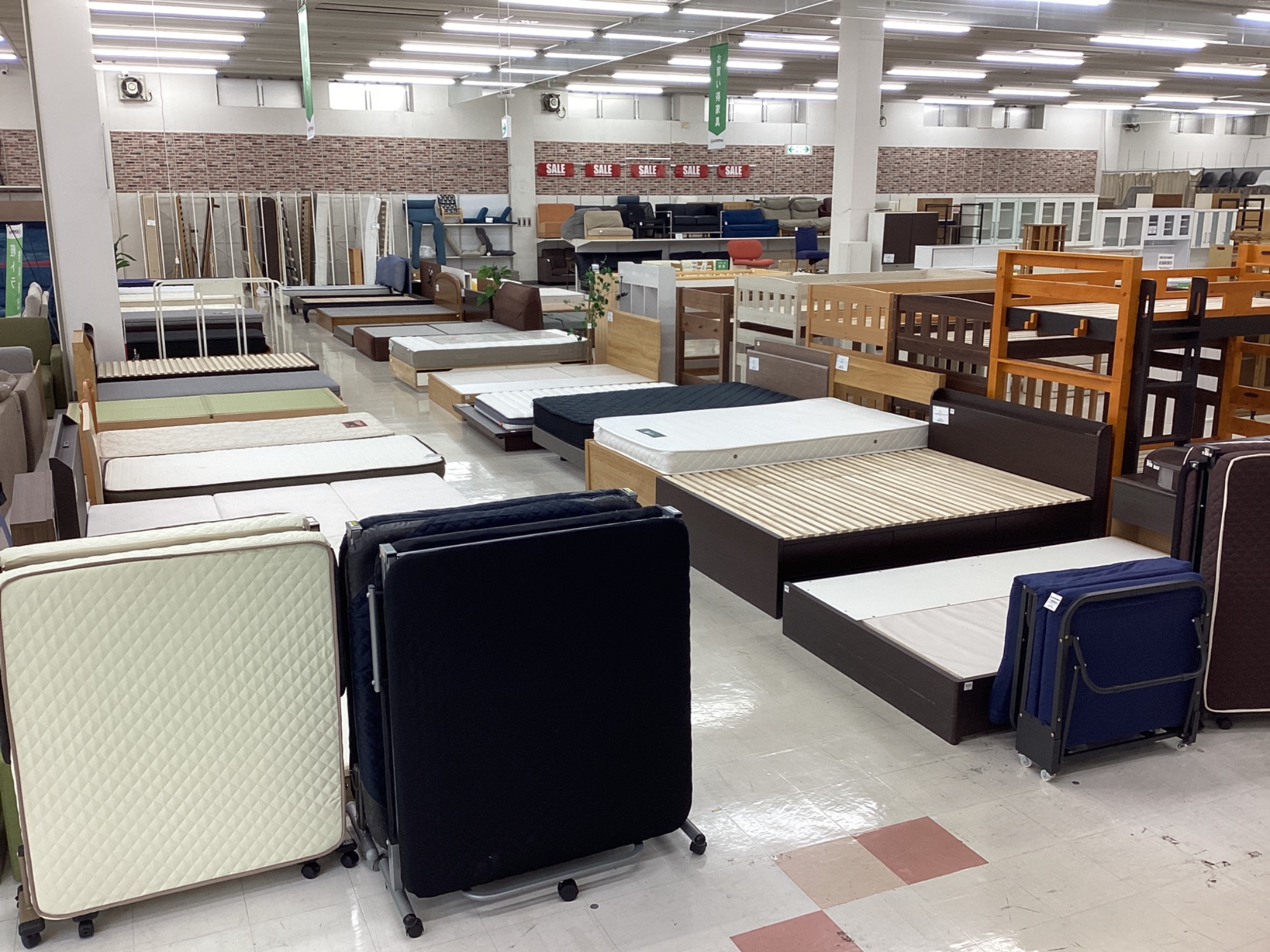 GMFK808○ACTUS / アクタス スタジオアルファトレーディング テレビ GMFK808○ACTUS / アクタス スタジオアルファトレーディング