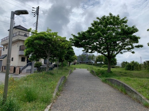 19年05月20日：画像７