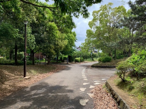 19年05月20日：画像９