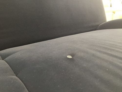 19年07月11日:画像6