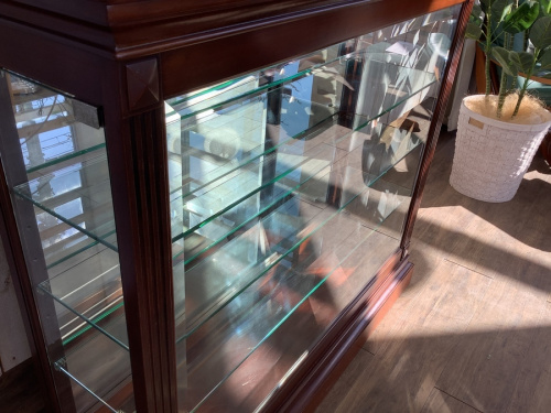 新入荷のキュリオケース