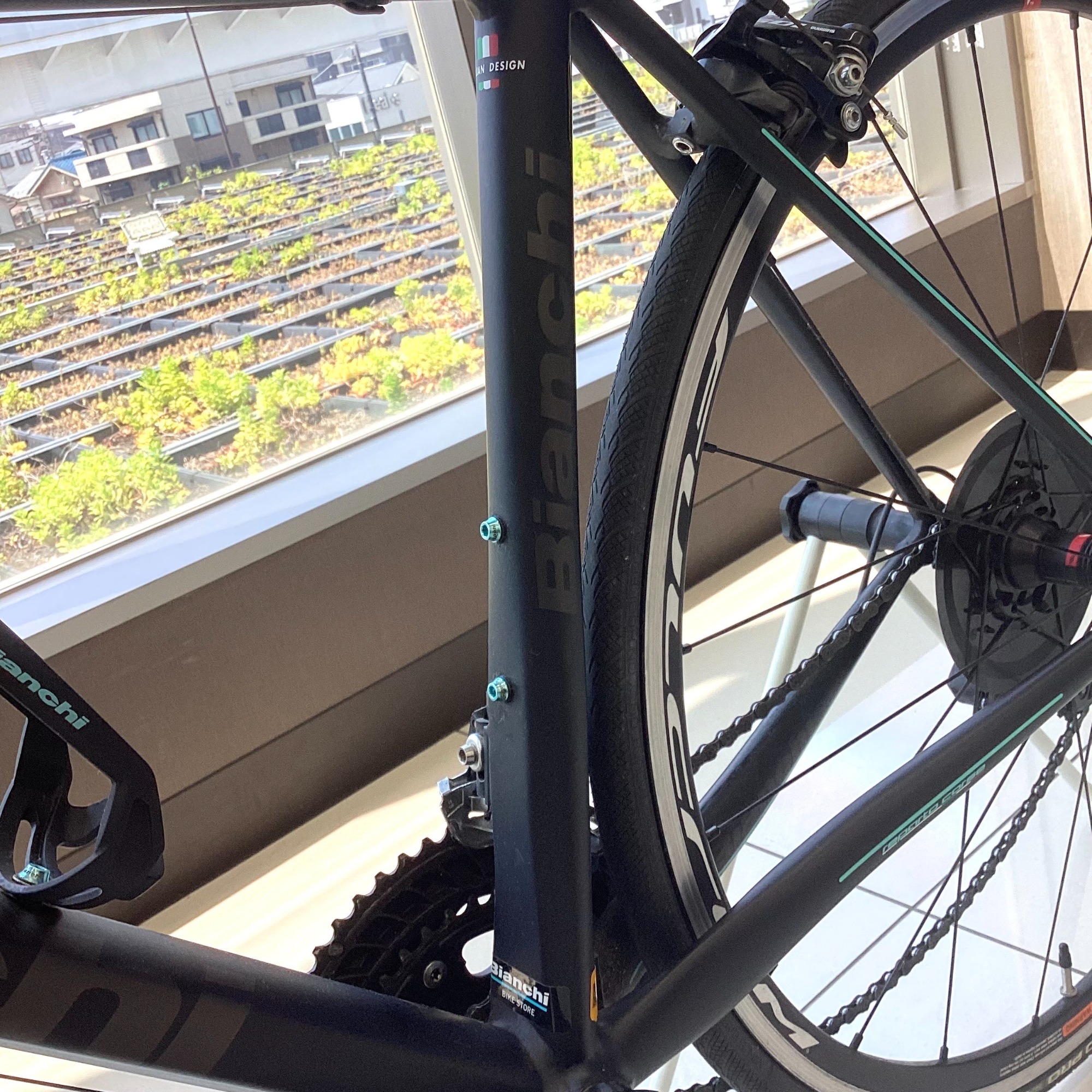 BIANCHI(ビアンキ)のFENICE/フェニーチェを入荷いたしました