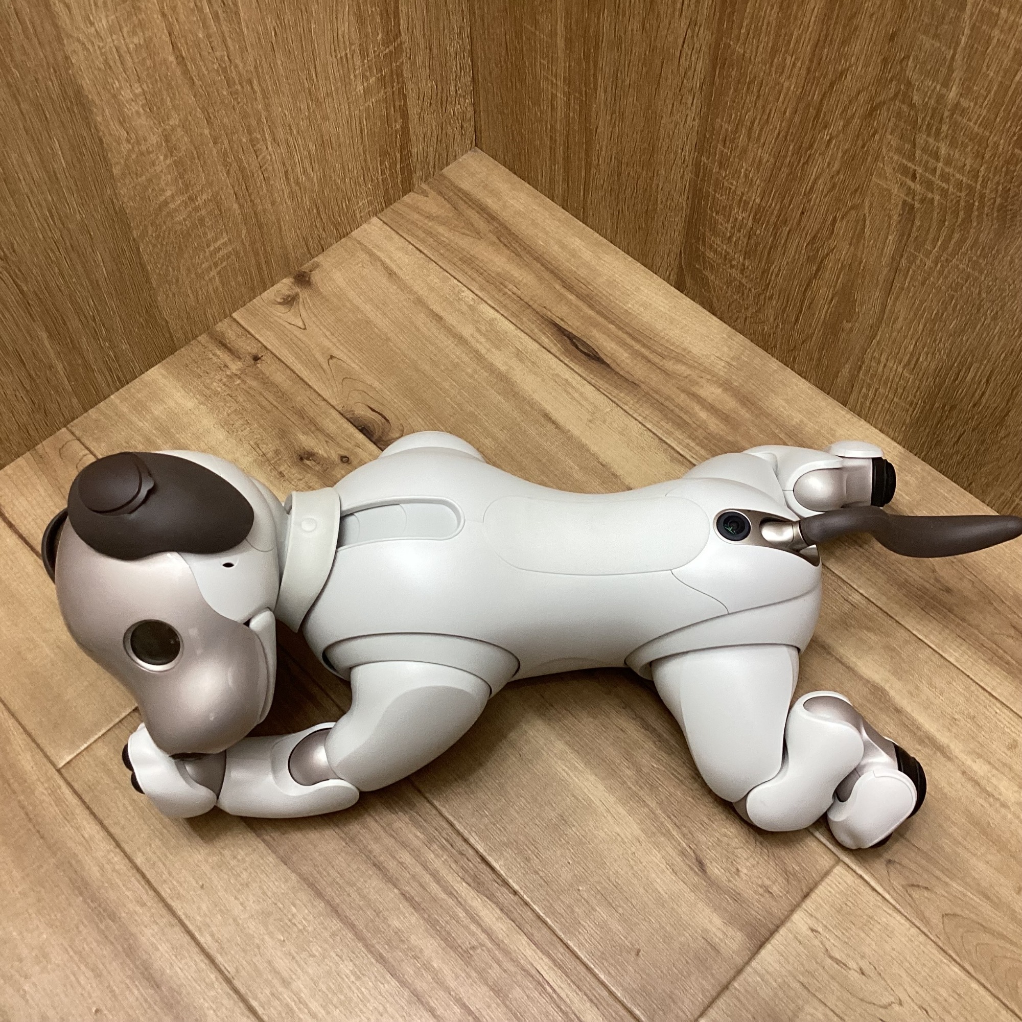 SONYのaibo(アイボ) ERS-1000が入荷いたしました！｜2025年12月05日