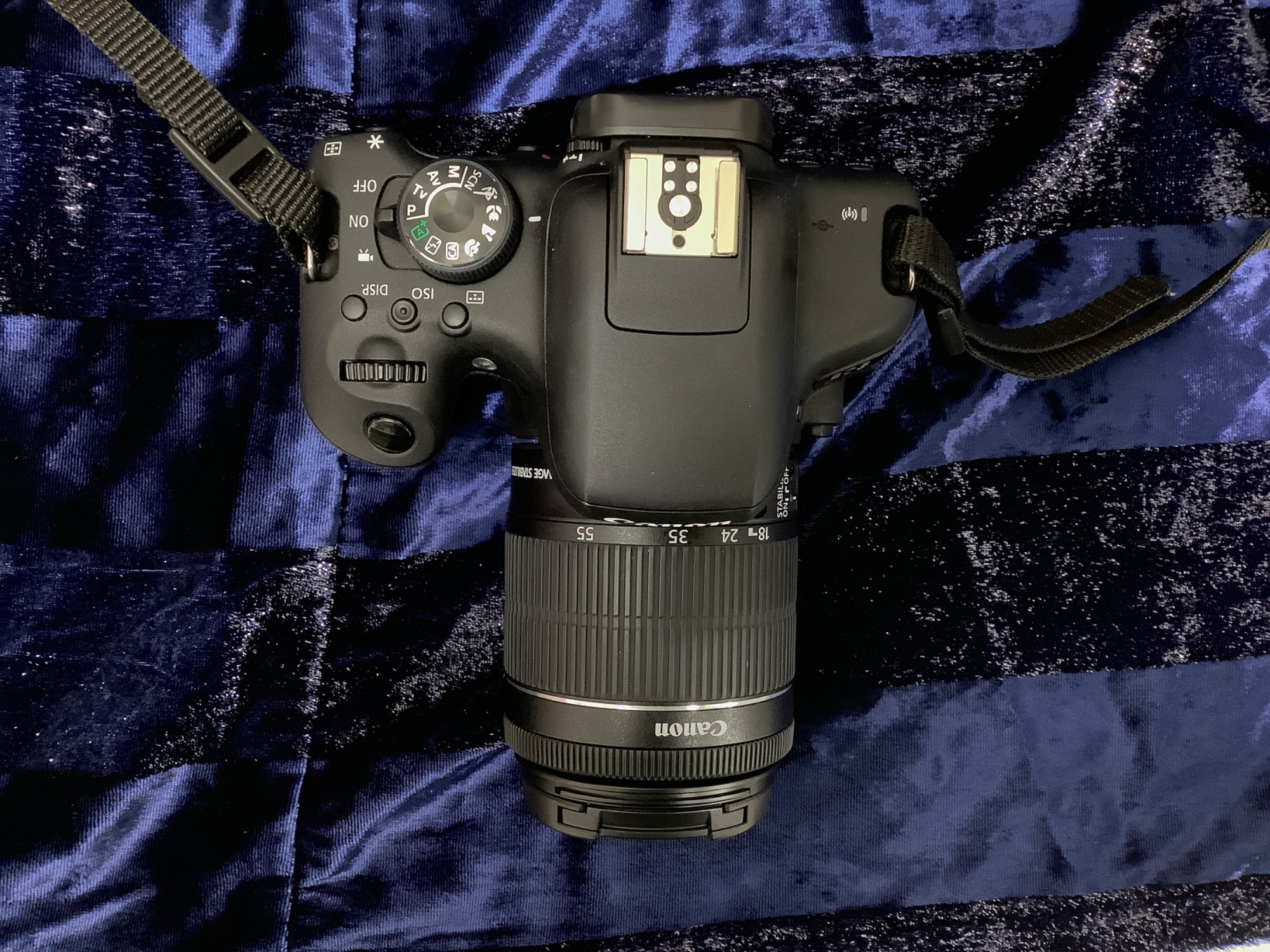 Cannon(キャノン)のデジタル一眼レフカメラが入荷しました