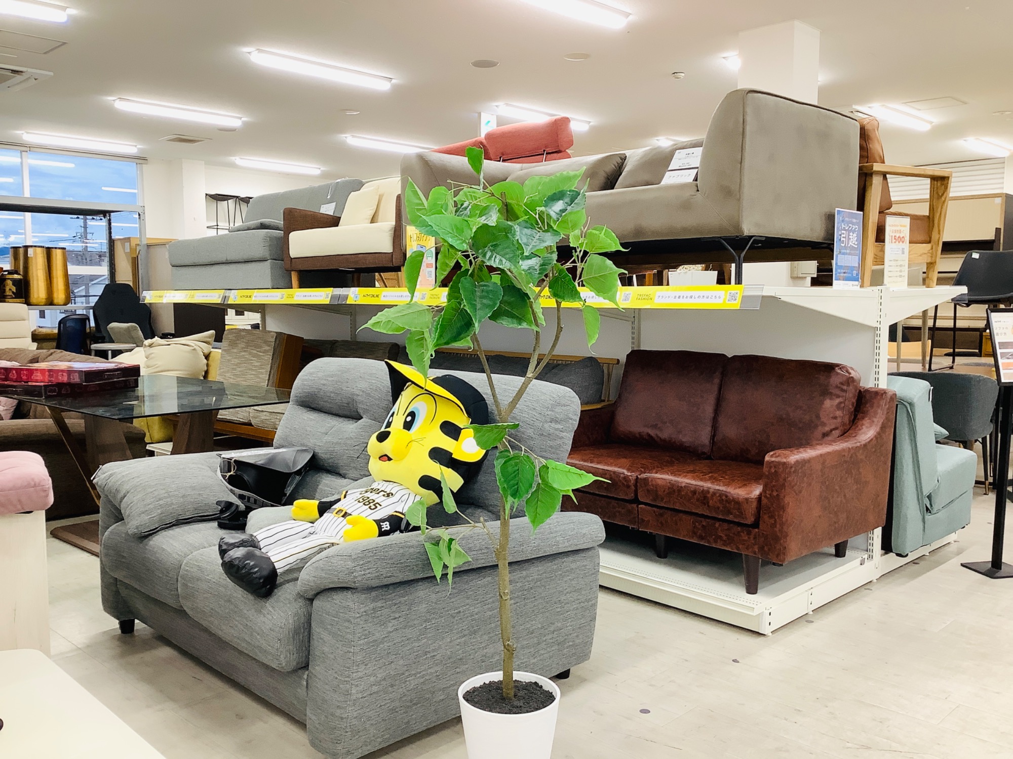 セミダブルベッド ホツレ・ヘタリ有 ブラウン 【トレファク堺福田】