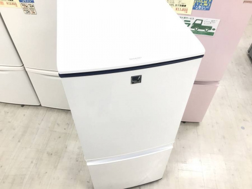 冷蔵庫の洗濯機