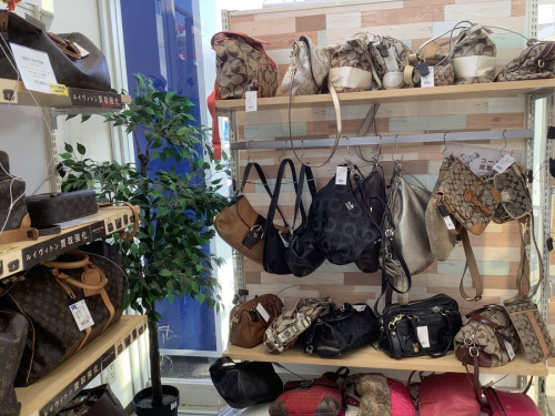 20年11月17日：画像７