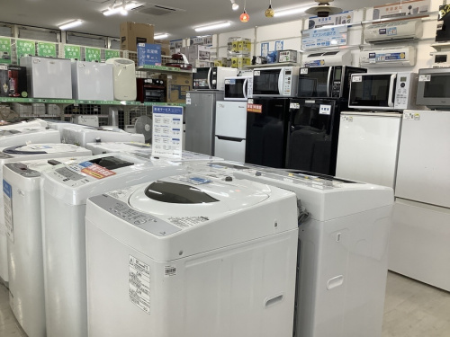 キャンプ用品の夏物家電