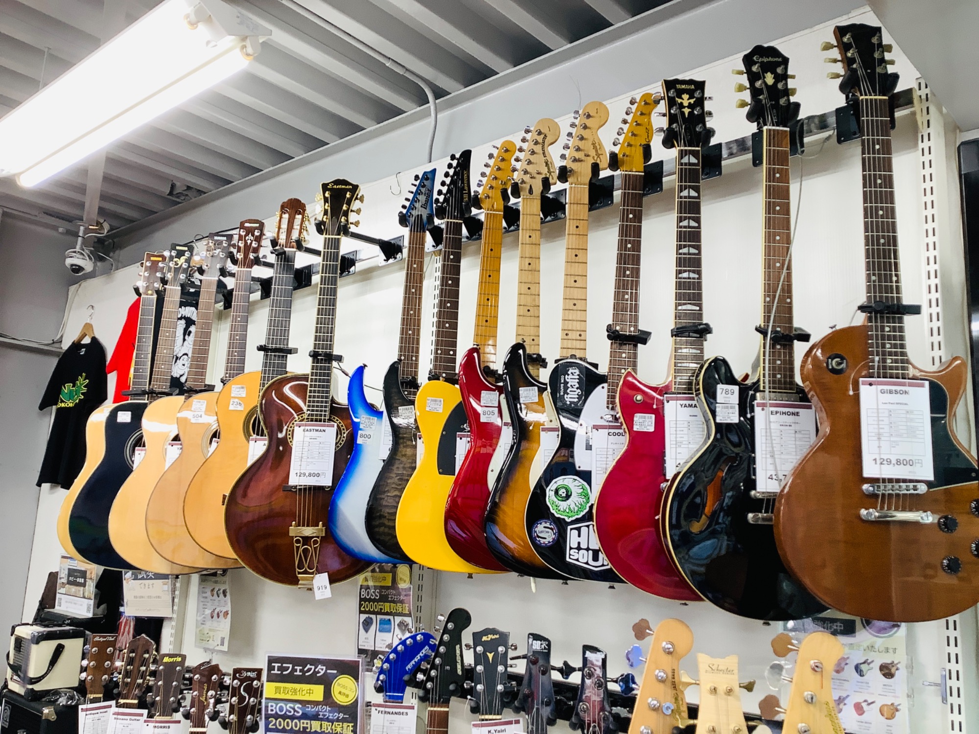 EASTMAN(イーストマン)アコースティックギターAR-804C入荷いたし