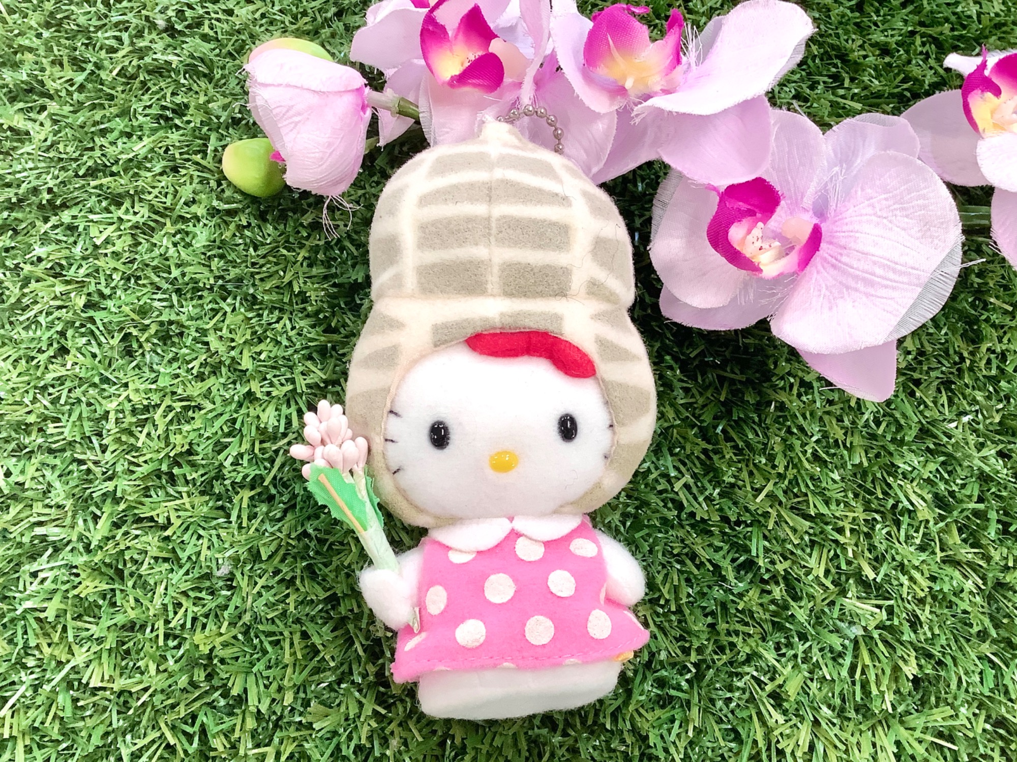 Sanrio/サンリオ】ご当地キティマスコット 落花生 買取入荷いたしまし