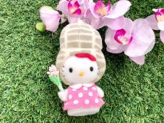 トレファク藤沢店ブログ