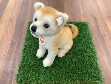 トレファク藤沢店ブログ