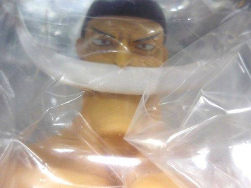 フィギュアの白ひげ海賊団