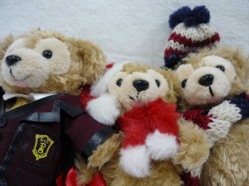 17年03月03日：画像９