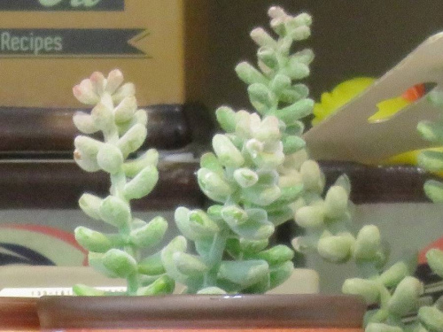 17年03月08日：画像６