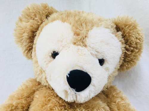 楽器・ホビー雑貨のディズニー