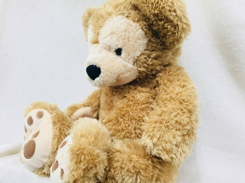 ディズニーのダッフィー