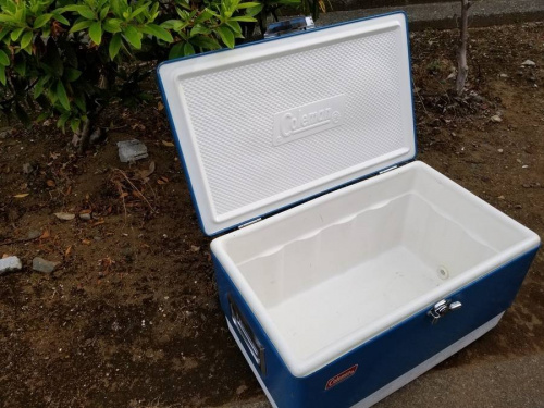 Colemanのコールマン