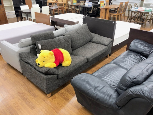 レンジボードの湘南藤沢情報