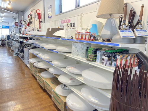 電球の湘南藤沢情報