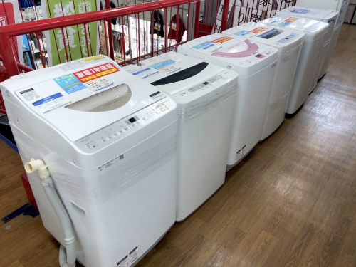 湘南藤沢情報