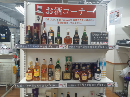湘南藤沢情報