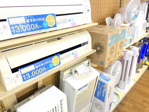 湘南藤沢情報