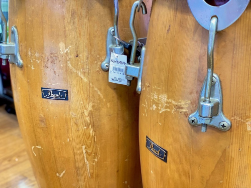 コンガのPearl(パール)