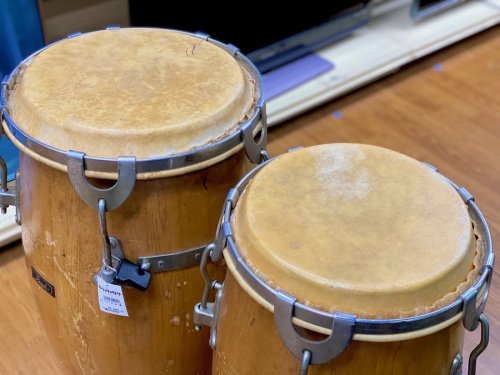 Pearl(パール)の藤沢　楽器