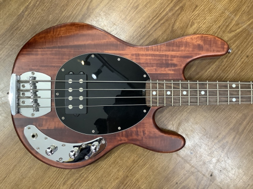 Sterling by MUSICMANのトレファク藤沢