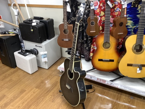 ギターのエレアコギター